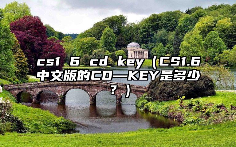 cs1 6 cd key（CS1.6中文版的CD—KEY是多少？）