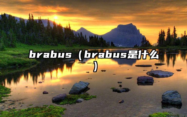 brabus（brabus是什么）