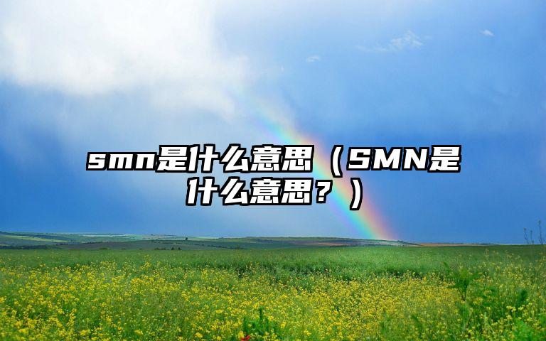 smn是什么意思（SMN是什么意思？）