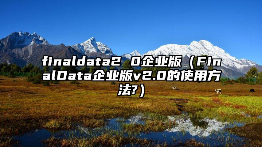 finaldata2 0企业版（FinalData企业版v2.0的使用方法?）