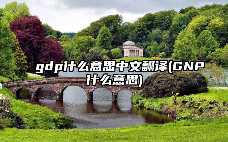 gdp什么意思中文翻译(GNP什么意思)