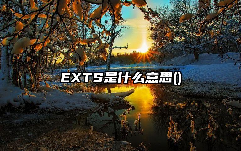 EXTS是什么意思()