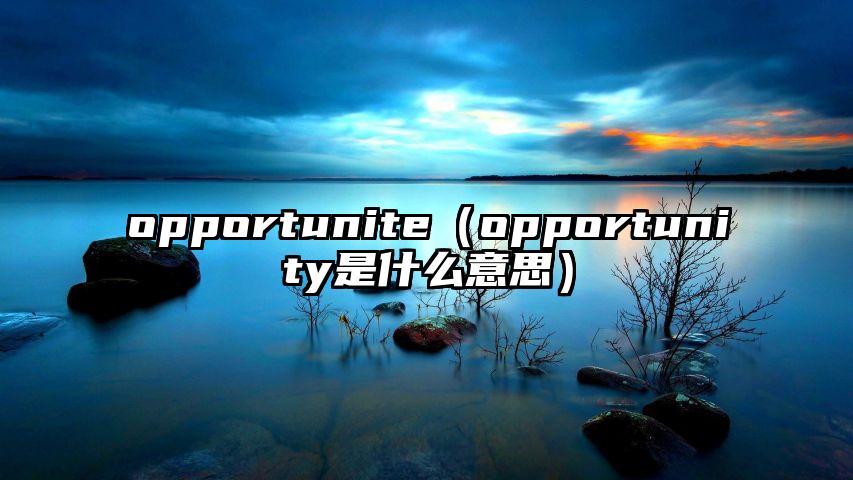 opportunite（opportunity是什么意思）