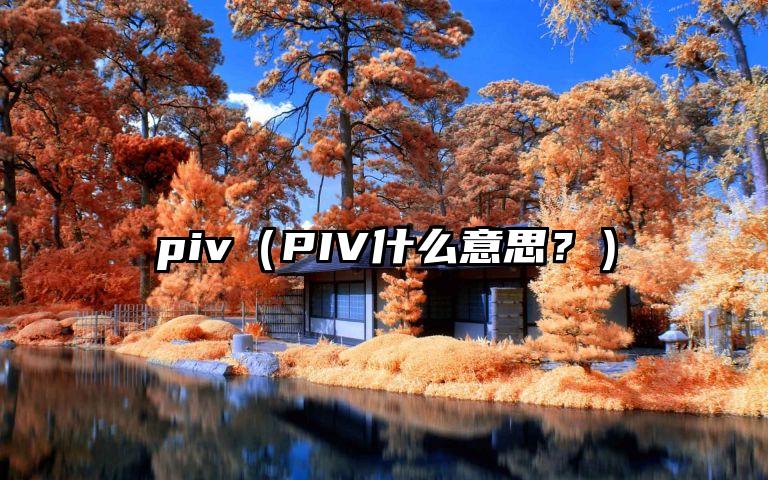 piv（PIV什么意思？）