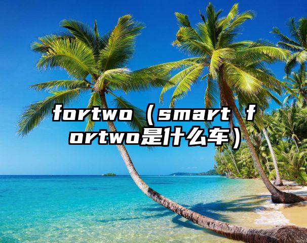 fortwo（smart fortwo是什么车）