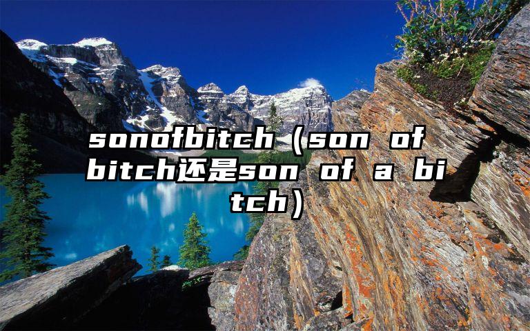 sonofbitch（son of bitch还是son of a bitch）