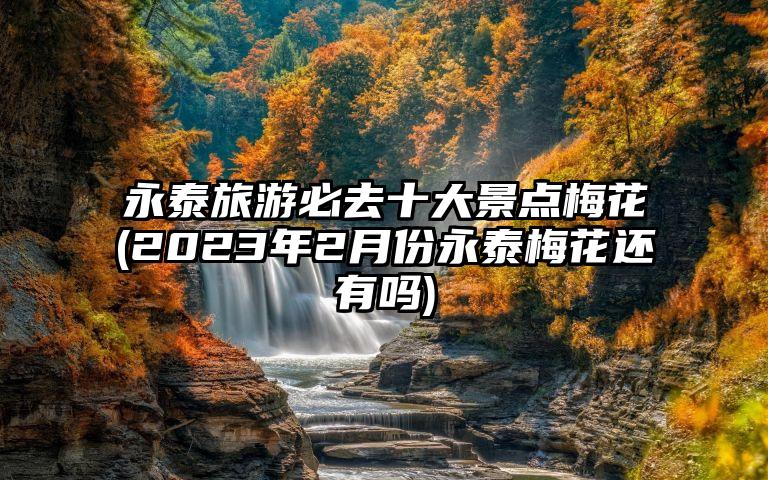 永泰旅游必去十大景点梅花(2023年2月份永泰梅花还有吗)