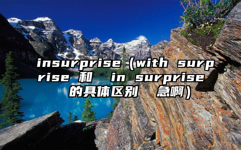 insurprise（with surprise 和  in surprise  的具体区别  急啊）