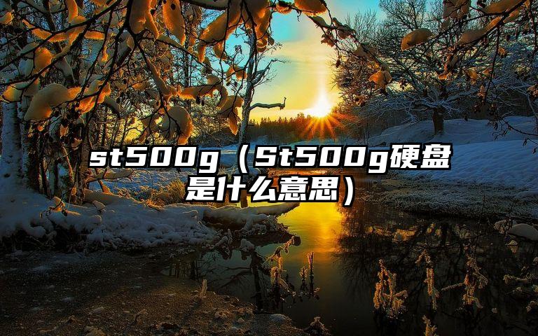 st500g（St500g硬盘是什么意思）