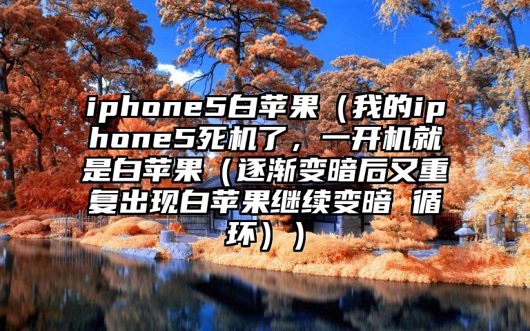 iphone5白苹果（我的iphone5死机了，一开机就是白苹果（逐渐变暗后又重复出现白苹果继续变暗 循环））