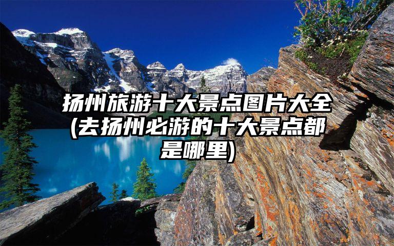 扬州旅游十大景点图片大全(去扬州必游的十大景点都是哪里)