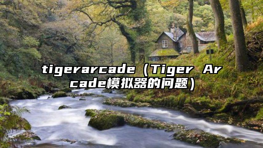 tigerarcade（Tiger Arcade模拟器的问题）