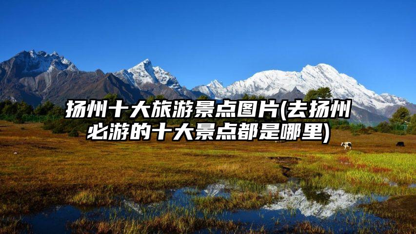扬州十大旅游景点图片(去扬州必游的十大景点都是哪里)