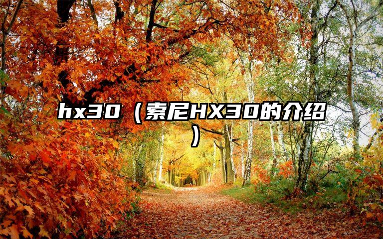 hx30（索尼HX30的介绍）