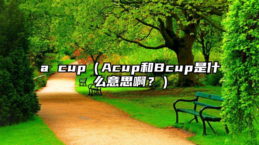 a cup（Acup和Bcup是什么意思啊？）