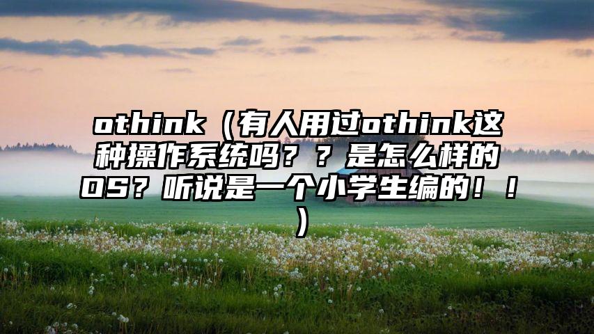 othink（有人用过othink这种操作系统吗？？是怎么样的OS？听说是一个小学生编的！！）
