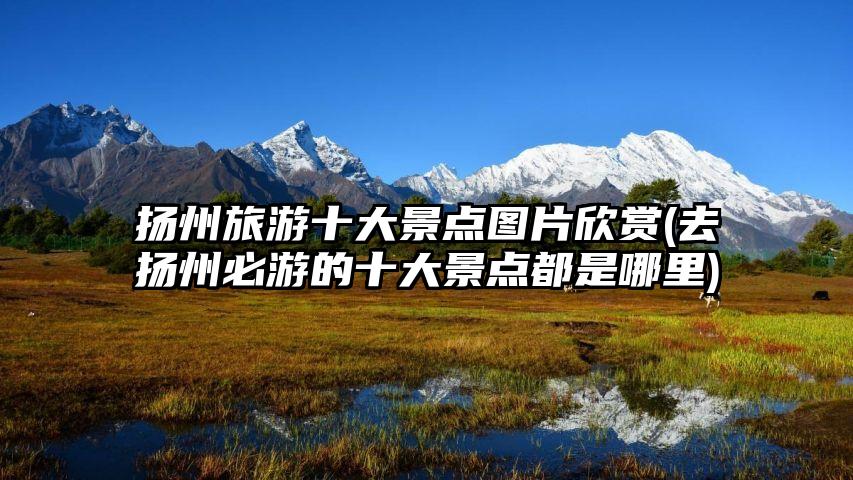 扬州旅游十大景点图片欣赏(去扬州必游的十大景点都是哪里)