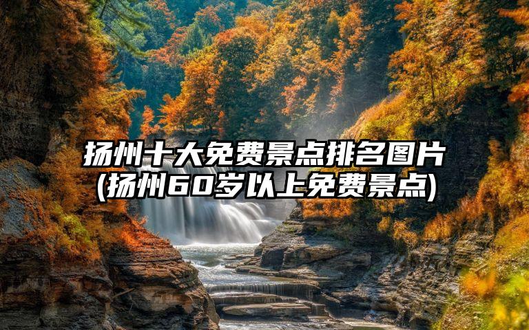 扬州十大免费景点排名图片(扬州60岁以上免费景点)