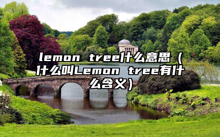 lemon tree什么意思（什么叫Lemon tree有什么含义）