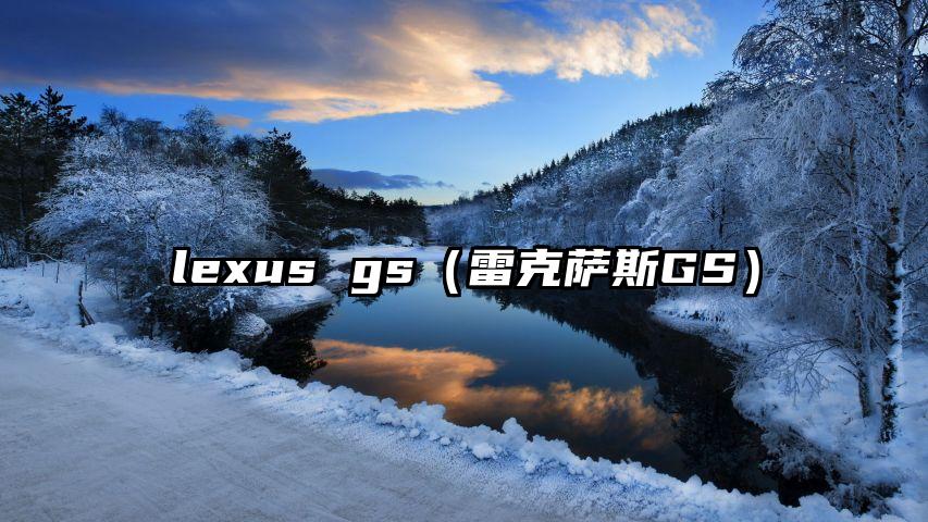 lexus gs（雷克萨斯GS）