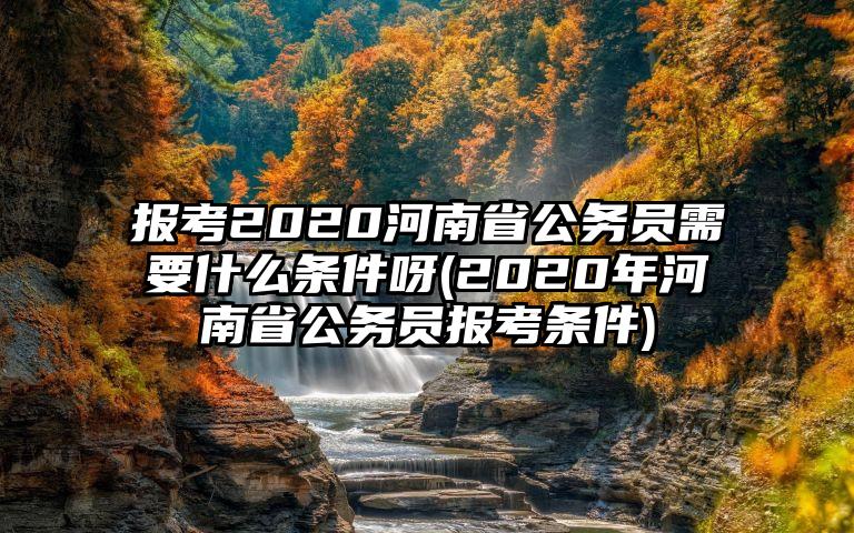 报考2020河南省公务员需要什么条件呀(2020年河南省公务员报考条件)