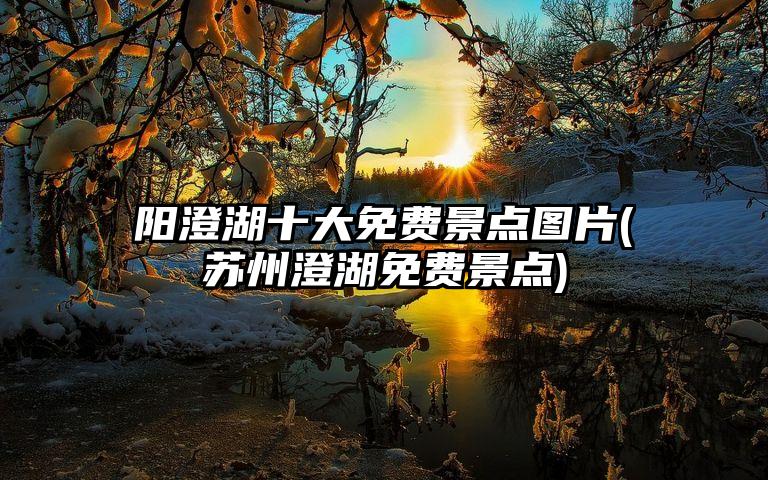 阳澄湖十大免费景点图片(苏州澄湖免费景点)
