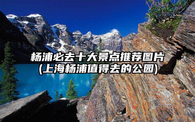 杨浦必去十大景点推荐图片(上海杨浦值得去的公园)