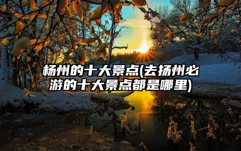 杨州的十大景点(去扬州必游的十大景点都是哪里)