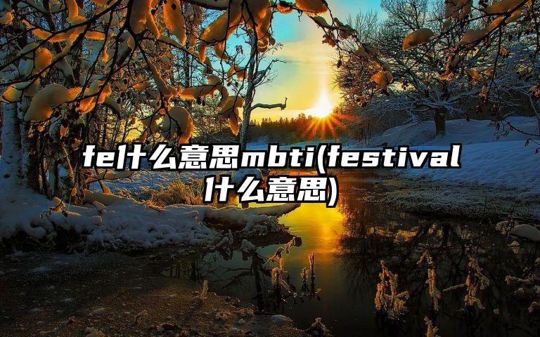 fe什么意思mbti(festival什么意思)