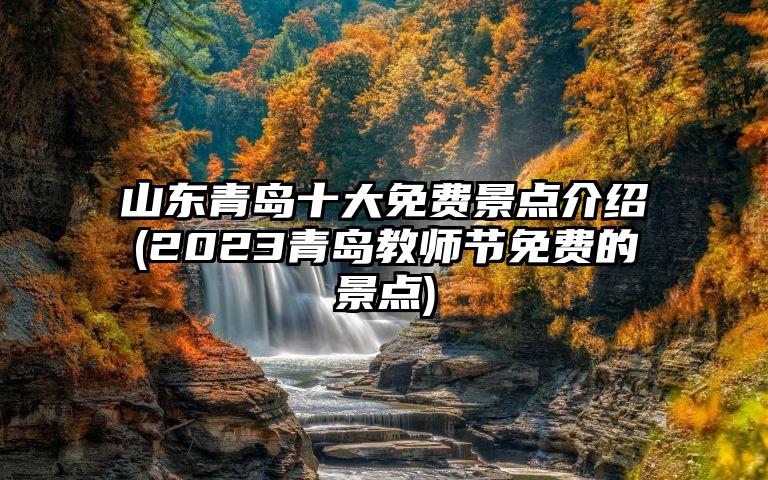 山东青岛十大免费景点介绍(2023青岛教师节免费的景点)