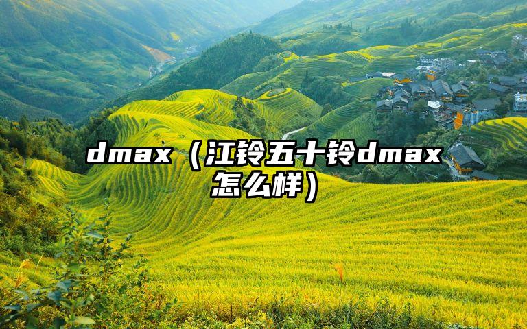 dmax（江铃五十铃dmax怎么样）