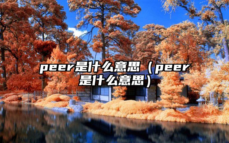 peer是什么意思（peer是什么意思）