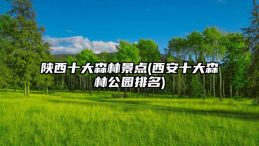陕西十大森林景点(西安十大森林公园排名)