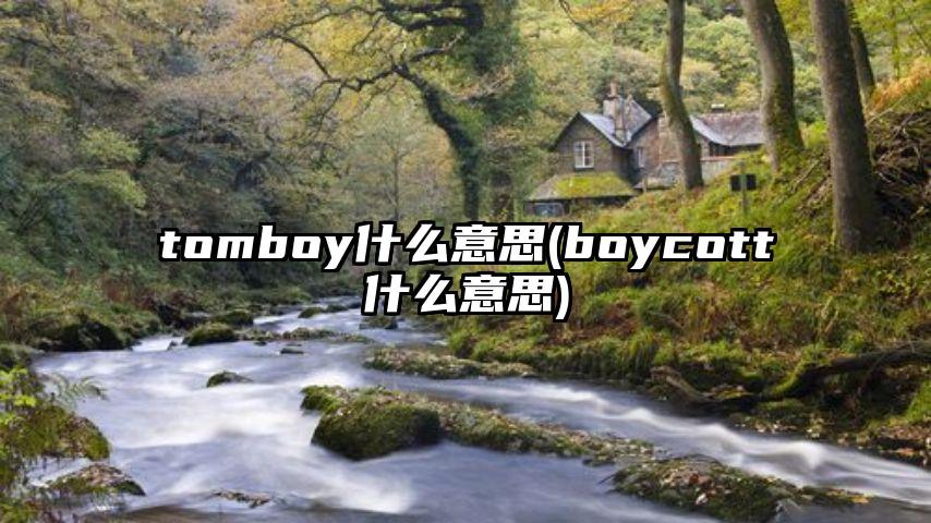 tomboy什么意思(boycott什么意思)