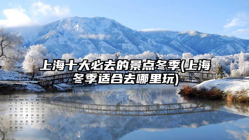 上海十大必去的景点冬季(上海冬季适合去哪里玩)