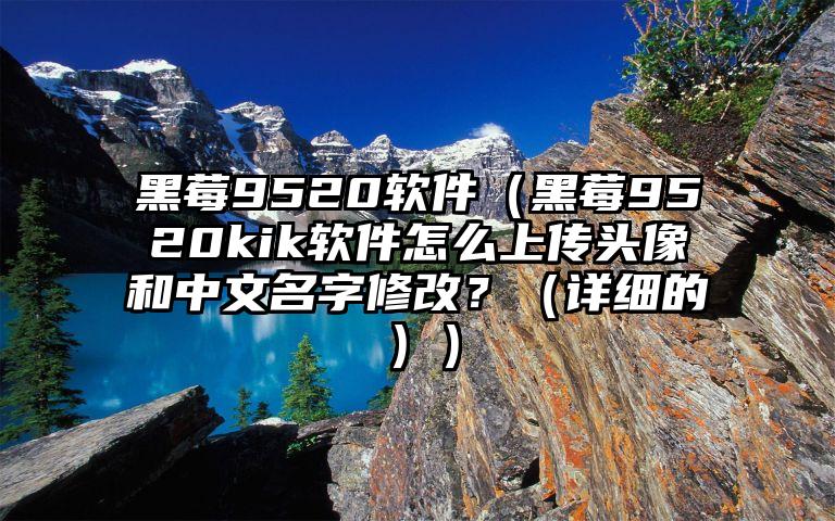 黑莓9520软件（黑莓9520kik软件怎么上传头像和中文名字修改？（详细的））
