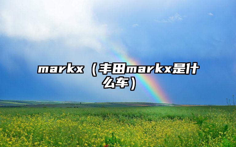 markx（丰田markx是什么车）