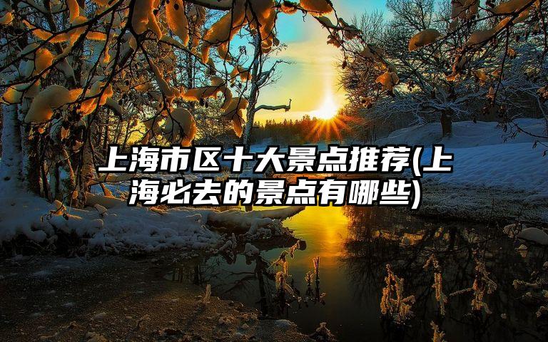 上海市区十大景点推荐(上海必去的景点有哪些)