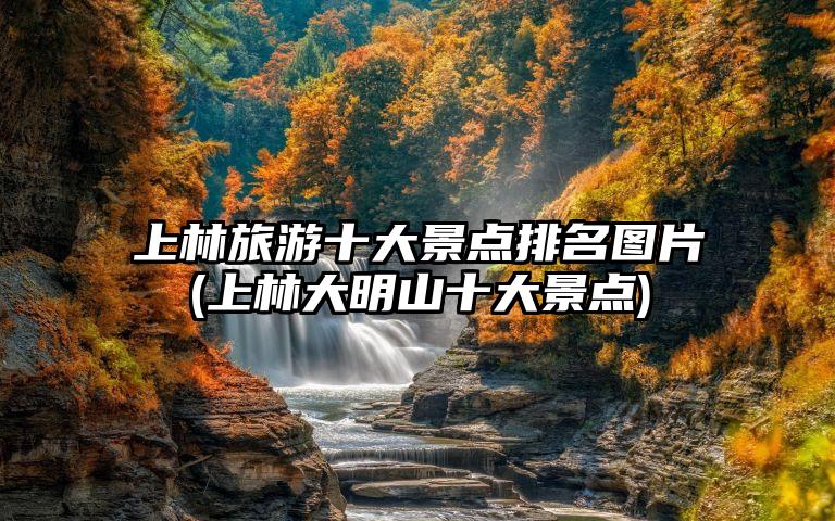 上林旅游十大景点排名图片(上林大明山十大景点)