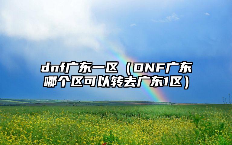 dnf广东一区（DNF广东哪个区可以转去广东1区）