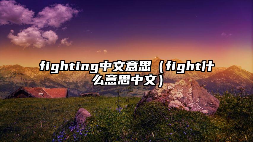 fighting中文意思（fight什么意思中文）