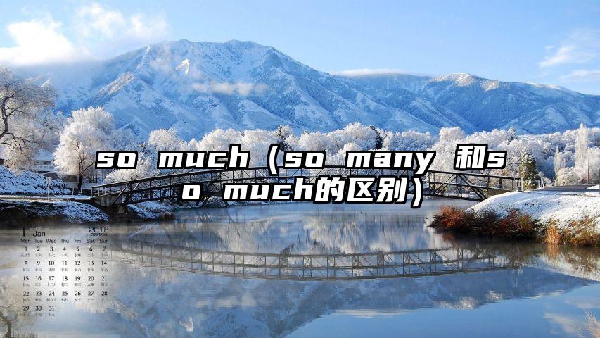 so much（so many 和so much的区别）