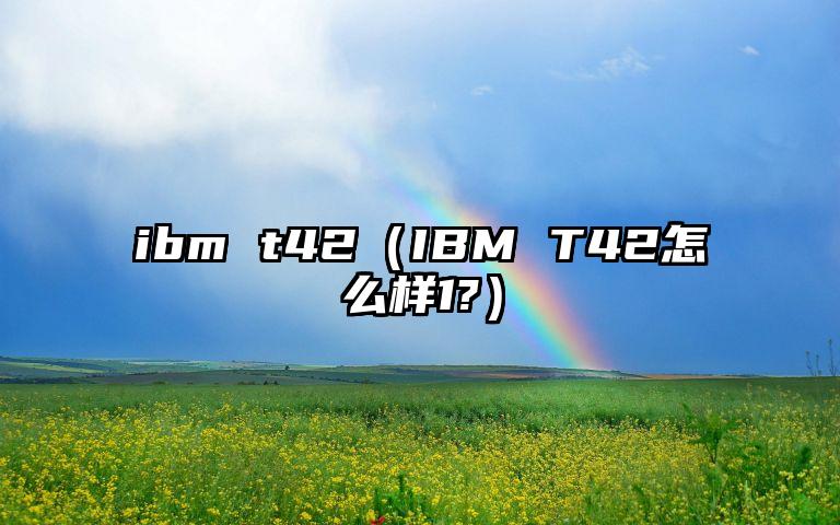 ibm t42（IBM T42怎么样1?）