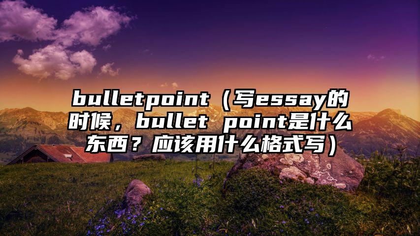 bulletpoint（写essay的时候，bullet point是什么东西？应该用什么格式写）