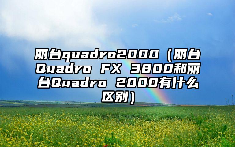 丽台quadro2000（丽台Quadro FX 3800和丽台Quadro 2000有什么区别）