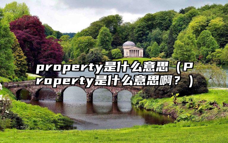 property是什么意思（Property是什么意思啊？）