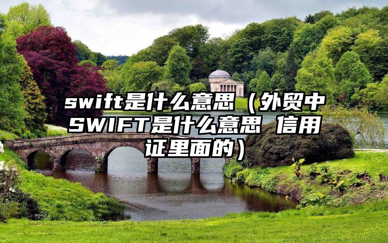 swift是什么意思（外贸中SWIFT是什么意思 信用证里面的）