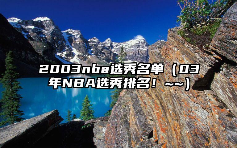 2003nba选秀名单（03年NBA选秀排名！~~）