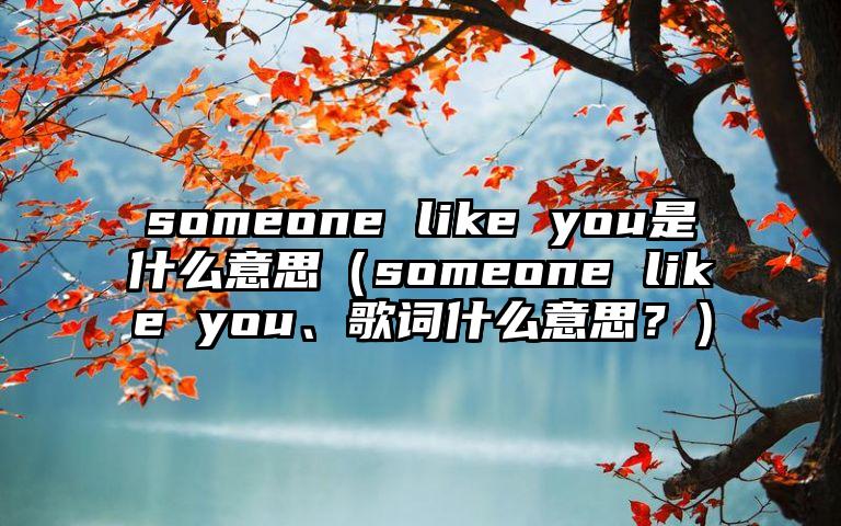 someone like you是什么意思（someone like you、歌词什么意思？）