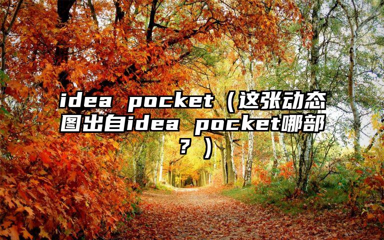idea pocket（这张动态图出自idea pocket哪部？）